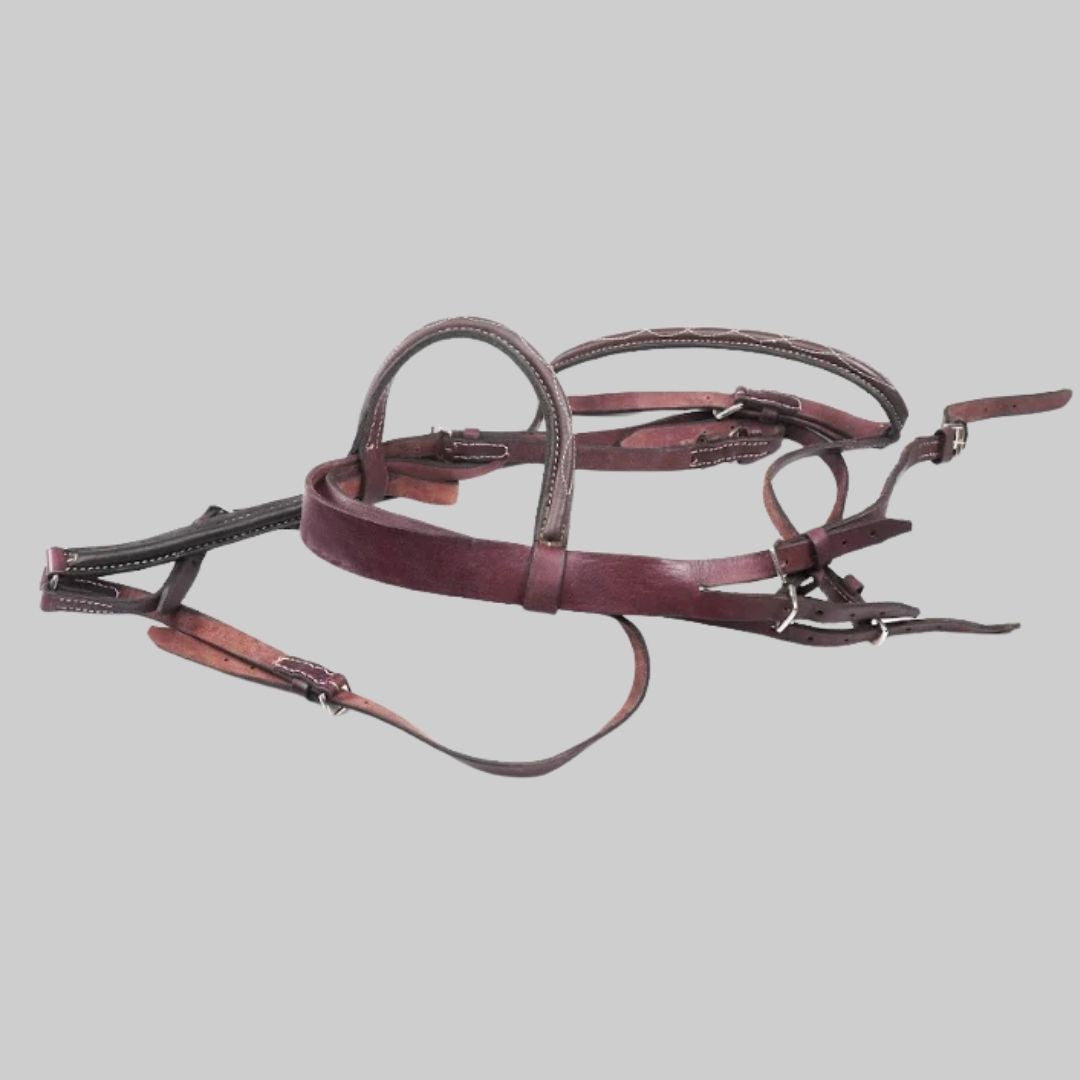 Horse Bridle