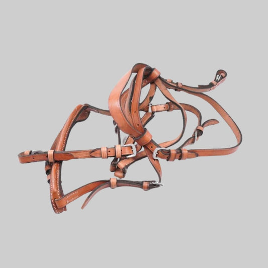 Horse Bridle