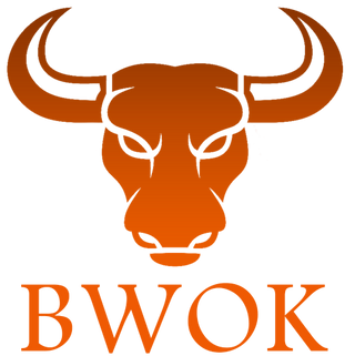 Bwok